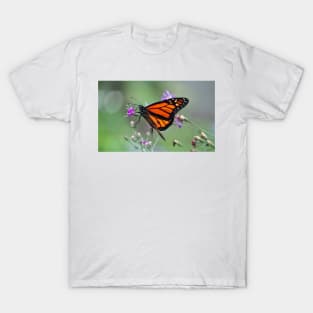 Monarch Beauty T-Shirt